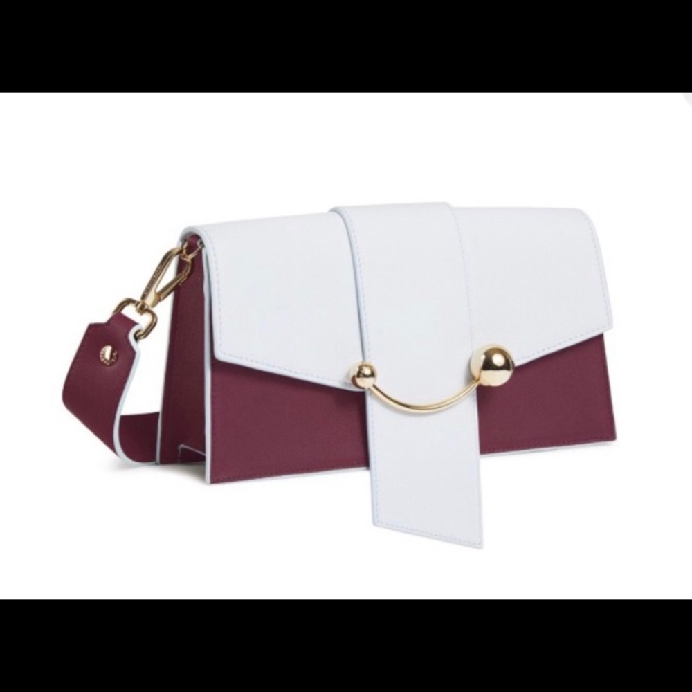 Stunning Strathberry Bag (NWOT)